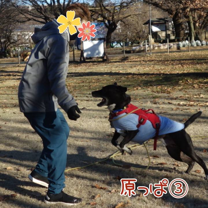 7db27712 06e3 424d 9f5e bff8efad7ddf 1671414391246