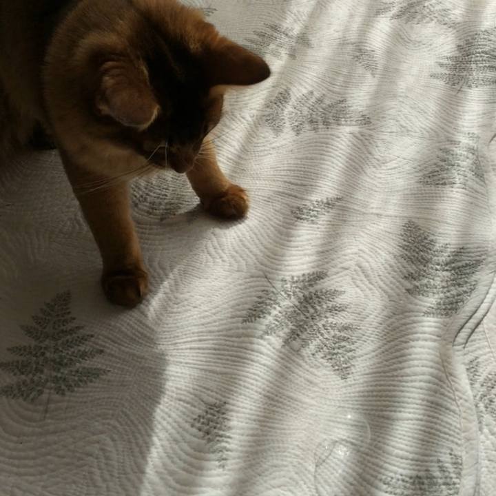 7db28d8b c9c5 4d8d b555 7942d55fbd69 1581395056960