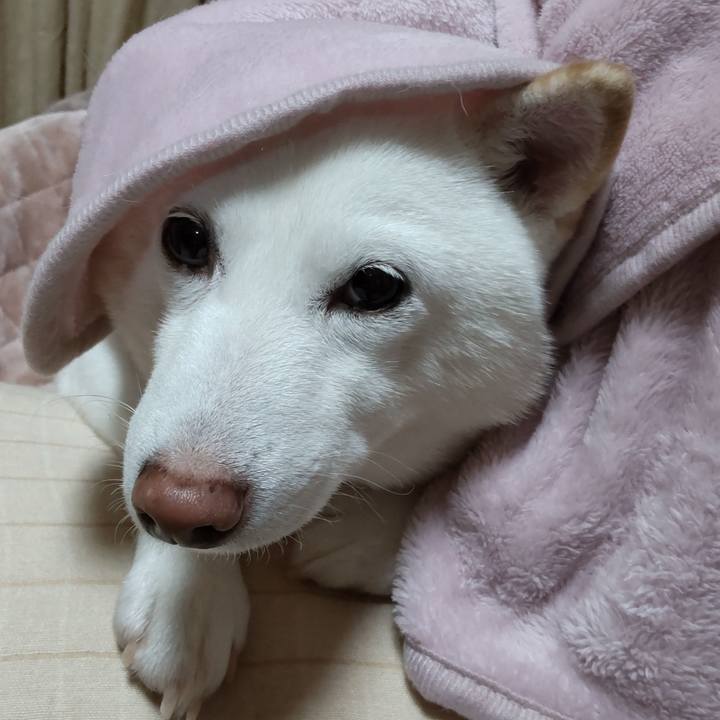 7db299a3 795e 42ad a195 f07a05f306e7 1641194773163