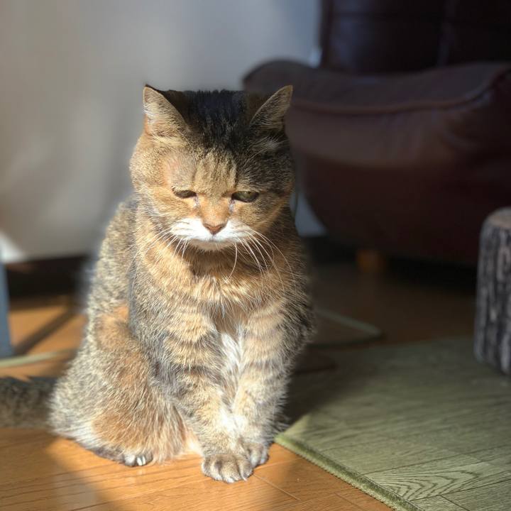 7db2b173 ebac 4956 9911 87fce9cbc5d9 1542247025928