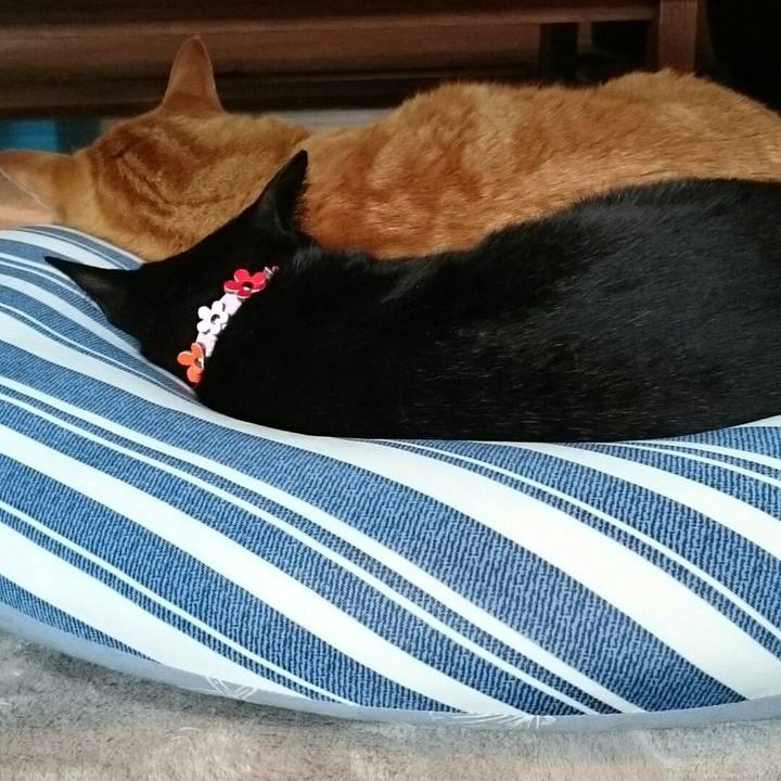 7db2f0b3 afbd 4bf9 956f 9a5fe5fda55b 1528597395561