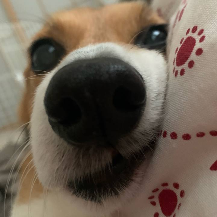 7db2f3cf 78a5 4332 b085 6c474bb1baab 1711675699002