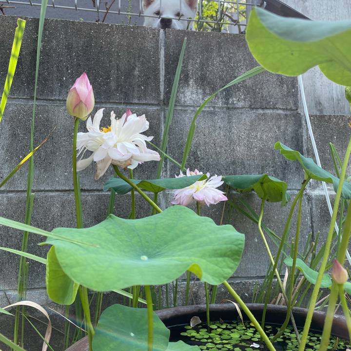 7db37900 54a3 40b9 a40e 17fea68954dd 1691891446601