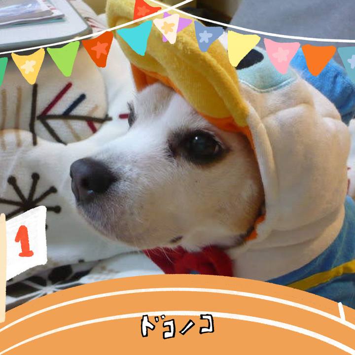 7db3979d 7a44 46dc b077 7d7ced6f4124 1761378289360