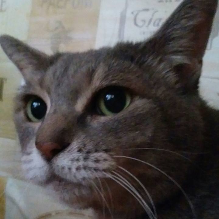 7db3d08d 1f4f 4161 a268 fab30d7d9ce3 1564698402463