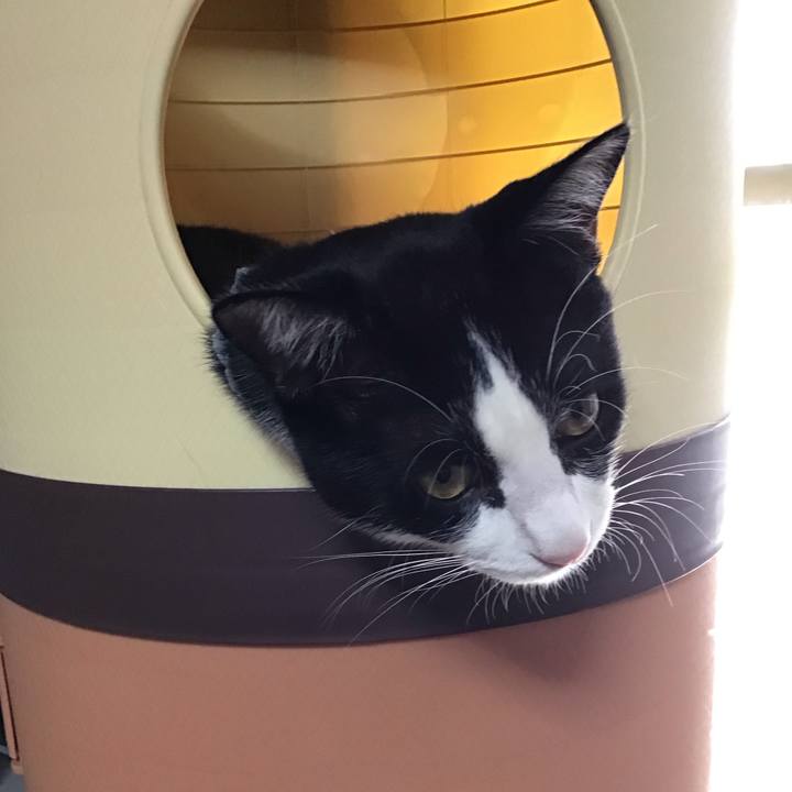 7db3e470 d4f2 4823 8645 e34cdb2750db 1662806160827