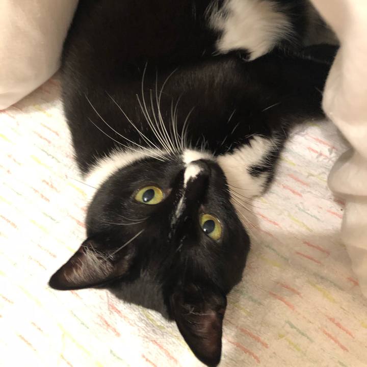 7db3f00a 3a1c 4e7d be5f 1a19590b6613 1570571990051