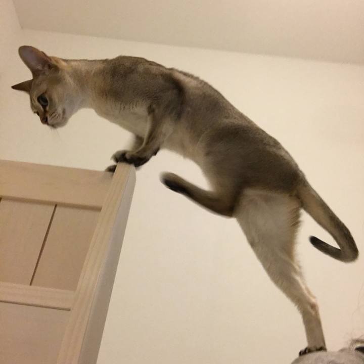 7db416c9 c891 4a90 a189 4e08f384d608 1513429083935