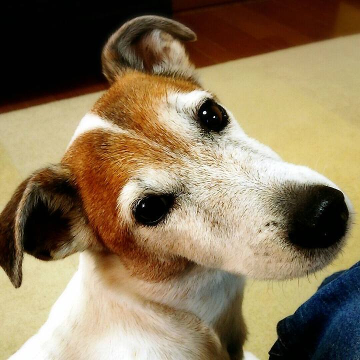 7db4823e ee4c 46c6 b159 ae3e5fe6bbcf 1518934928069