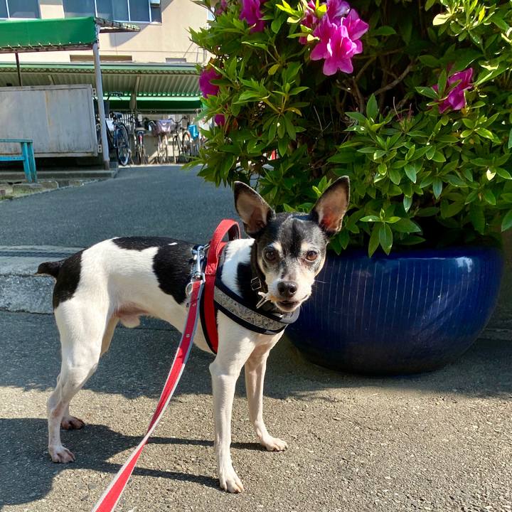 7db4c328 12c6 4a2a 8fc7 65977d179dc4 1588124174111