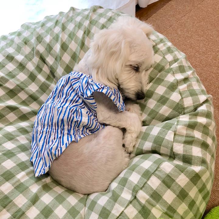 7db4c833 74da 4e71 8e71 e77f4f02f7f8 1530921082591