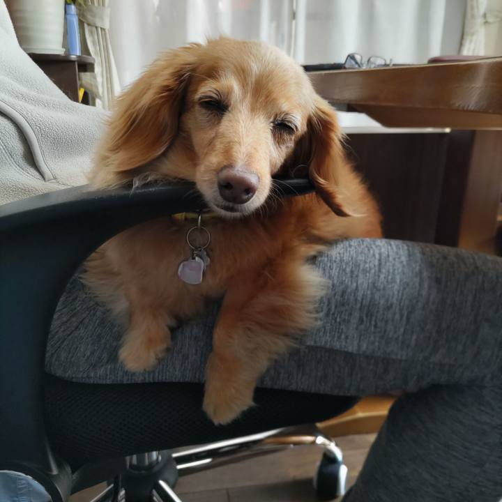 7db4d833 6b8b 4053 912a ff3f5f52cc63 1651898557347