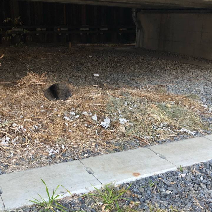 7db4ddc5 3364 49fe a74c 177a12be8325 1548373775636