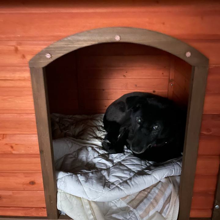 7db510df 10e8 4c2f 80c0 76c99a018447 1667642583079