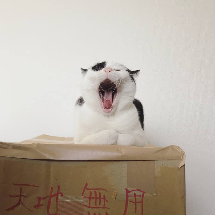 7db51311 daf0 48f2 99ce 0c0c7d840228 1610116005053