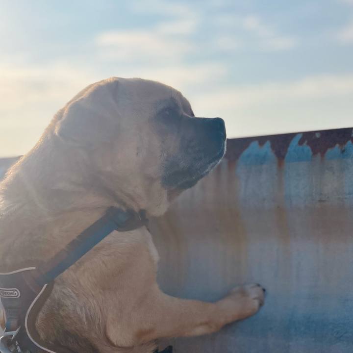 7db51463 eb6f 41f7 8276 e240681a8aba 1773274004145