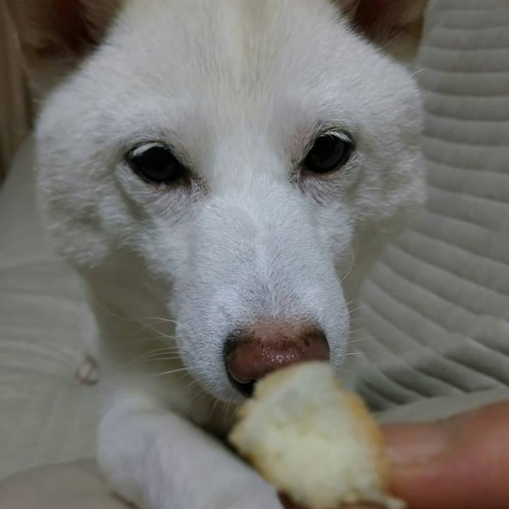 7db541c7 338e 4119 9afa 560baf133e64 1598781558897