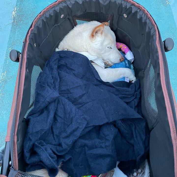 7db5517f 9232 45d4 a8f2 48f3555af282 1648901966874