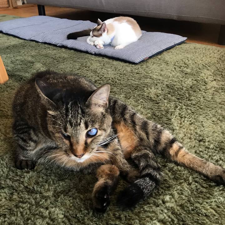 7db57309 e897 4b72 a76d e0d24eb1b07c 1602113242124