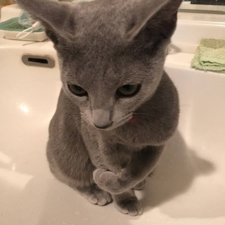 7db60566 c6f9 48d5 9661 fce5a0e81cfc 1512560180030