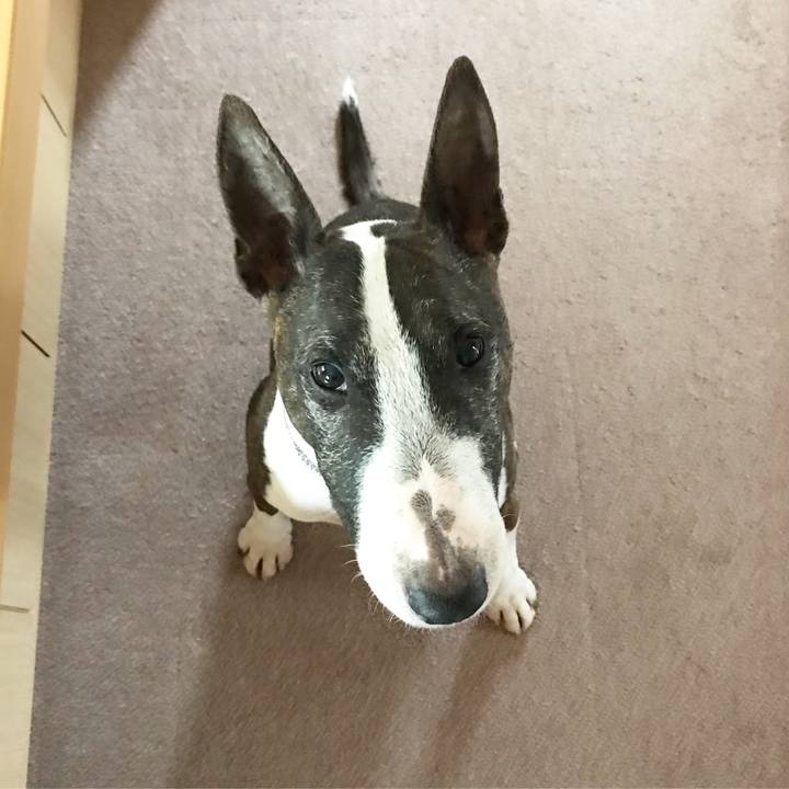 7db60b64 9d79 47b6 97d7 03c25fcfaf4f 1524733242880