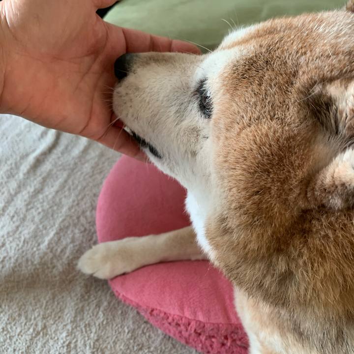 7db60f40 bf08 47be bf48 2da865af0ad0 1592212940363