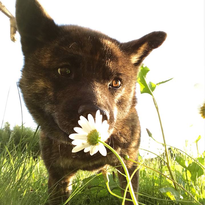 7db64098 aedf 44d7 bd05 2fec318a162d 1528889013162