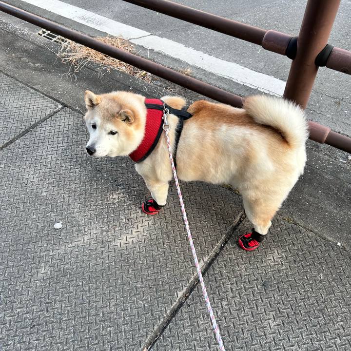 7db6632b fd98 49c3 b9e4 fdeee3d2d075 1736925751198