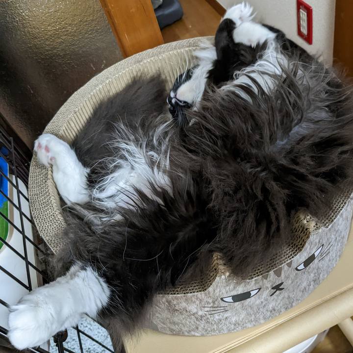 7db677fc 28c8 4421 bc16 f0732e7ada7d 1667358861134