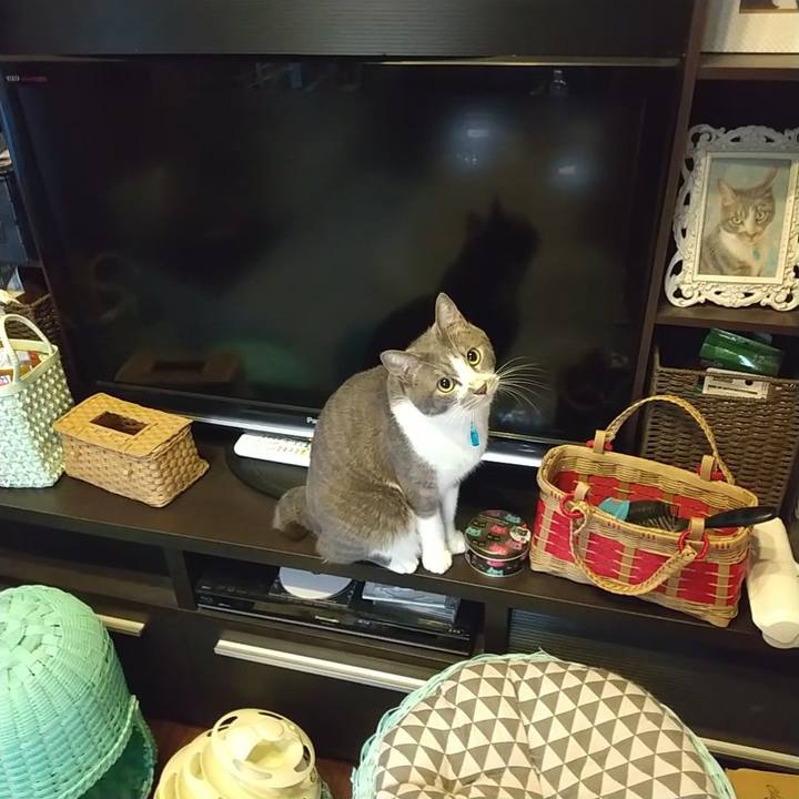 7db68ed7 4635 4de8 91bf ba6eedd0c4ec 1635976657824