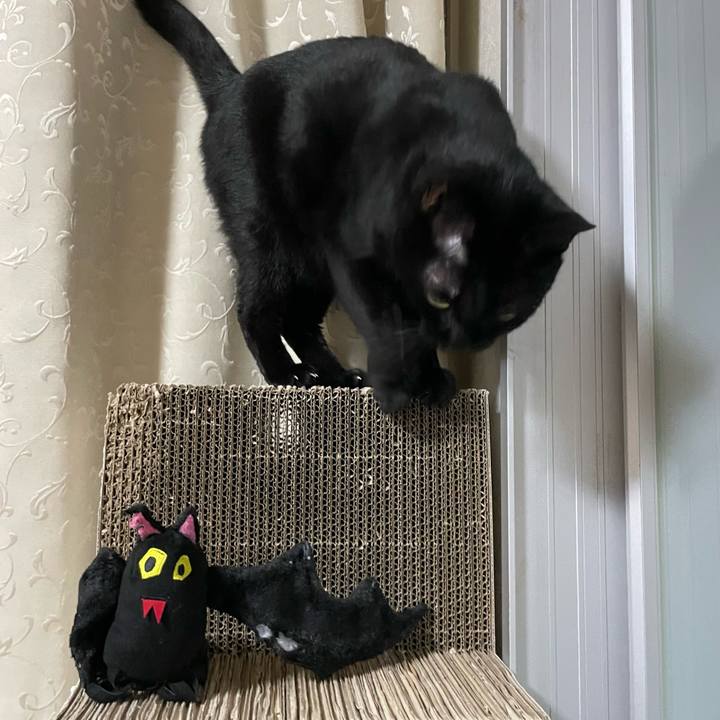 7db6b714 51b4 4749 865f 905bde51b6cc 1746454608762