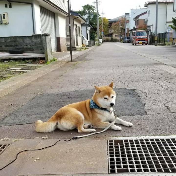 7db6d104 1ba2 412b ab65 c1b031e706b3 1509515146693