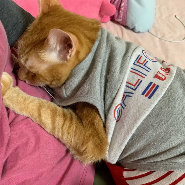 7db7119f d7da 4cd0 940a 5dc1c86ea335 1614290221421