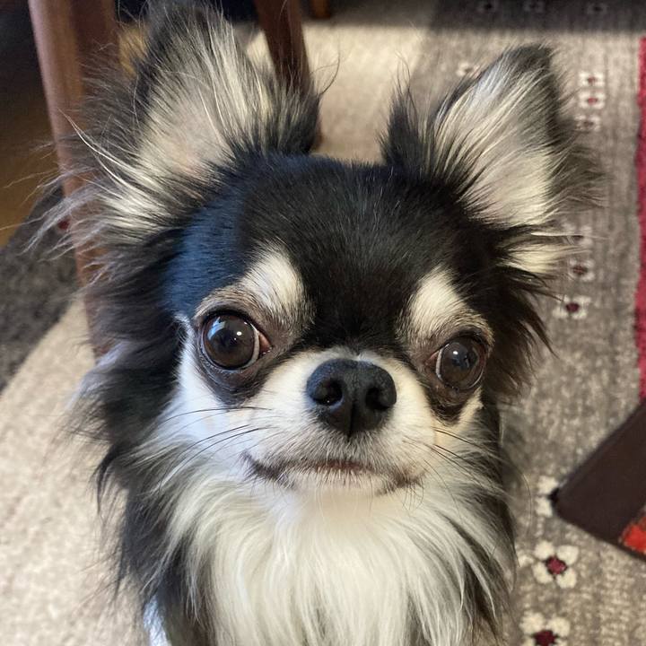 7db720bd 633e 4fe1 a8ba 6cf32c5dfc73 1614468804490