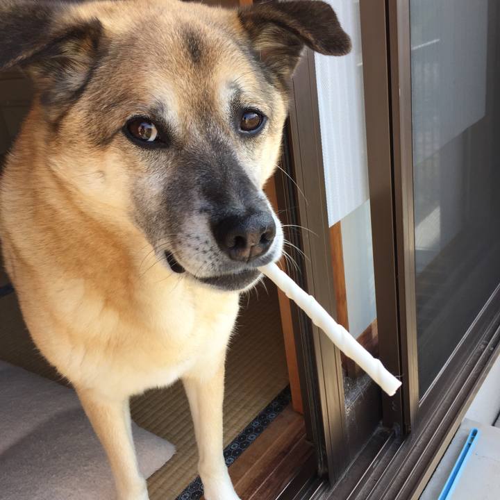 7db77a01 9c6c 4100 bca8 40a39ad01b53 1526037771334