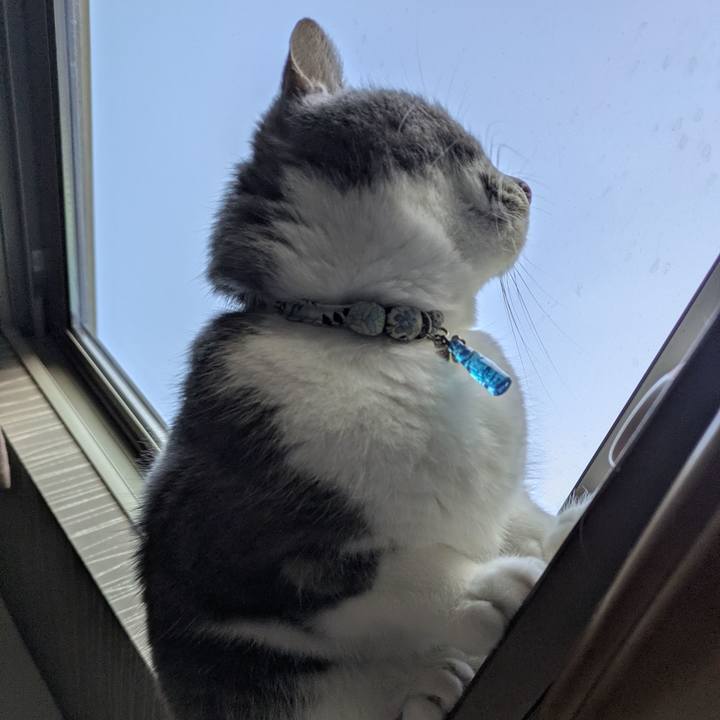 7db79d35 9f96 4767 a01b f405d7d4e253 1771717629477