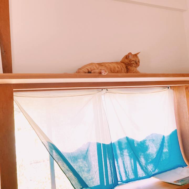 7db7b1ff 0f30 4caf 9d28 5206e249a41e 1594217664616