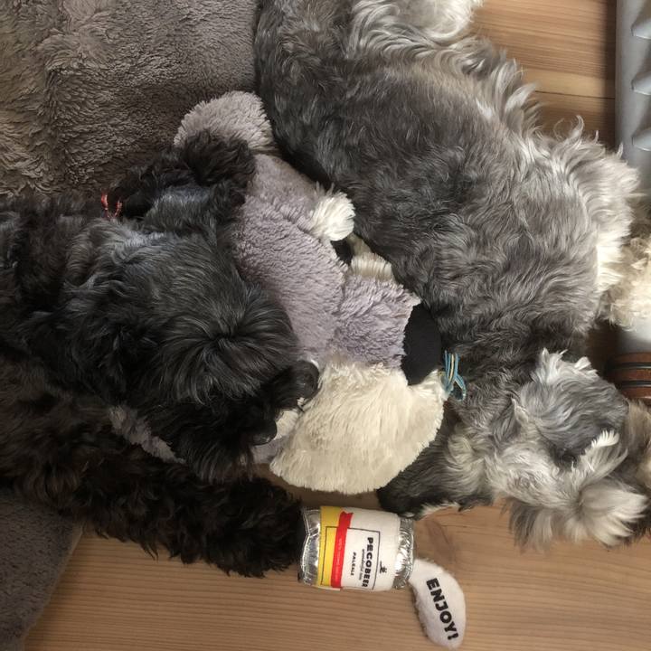 7db7b331 a652 45b8 902b 171debc579d2 1567392332889