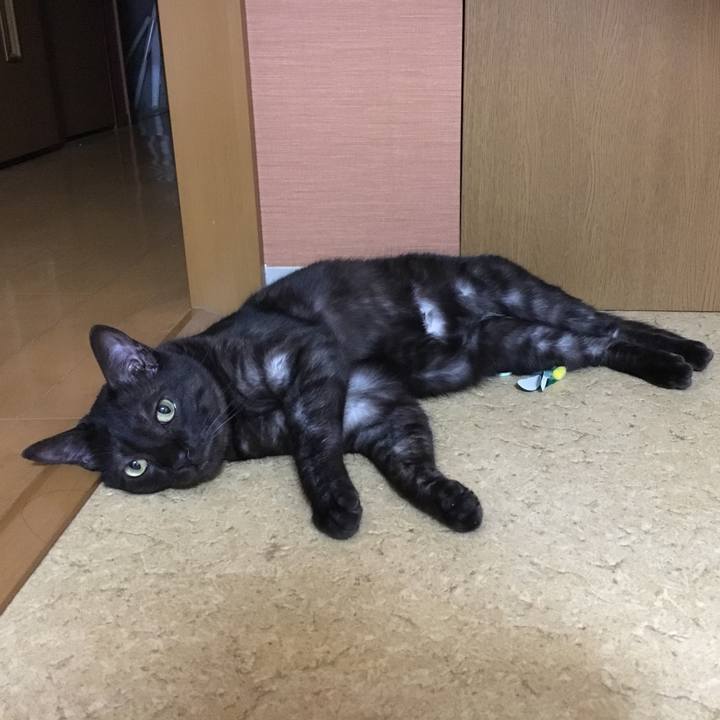 7db7da65 983d 4e27 b0a8 5109af984b4e 1564025489935