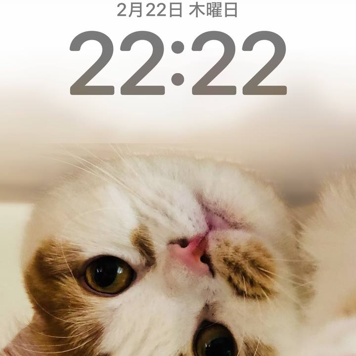 7db82f5e 5c80 4fc4 8a60 93180b6e9ad1 1708608187248