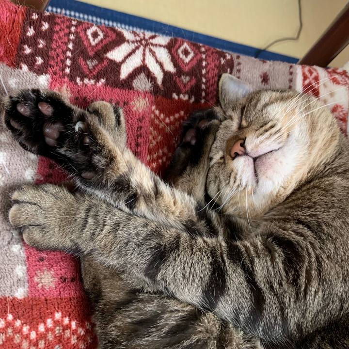 7db845a6 f326 428d 99ec 2439090cb545 1562389617382