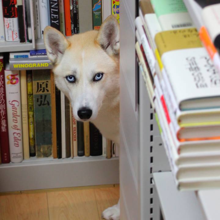 7db85731 8f09 4ed9 aecc bc1c79d624cd 1510111417601