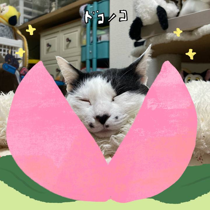 7db85adc c022 4014 b9db b8963d361b30 1772283304053