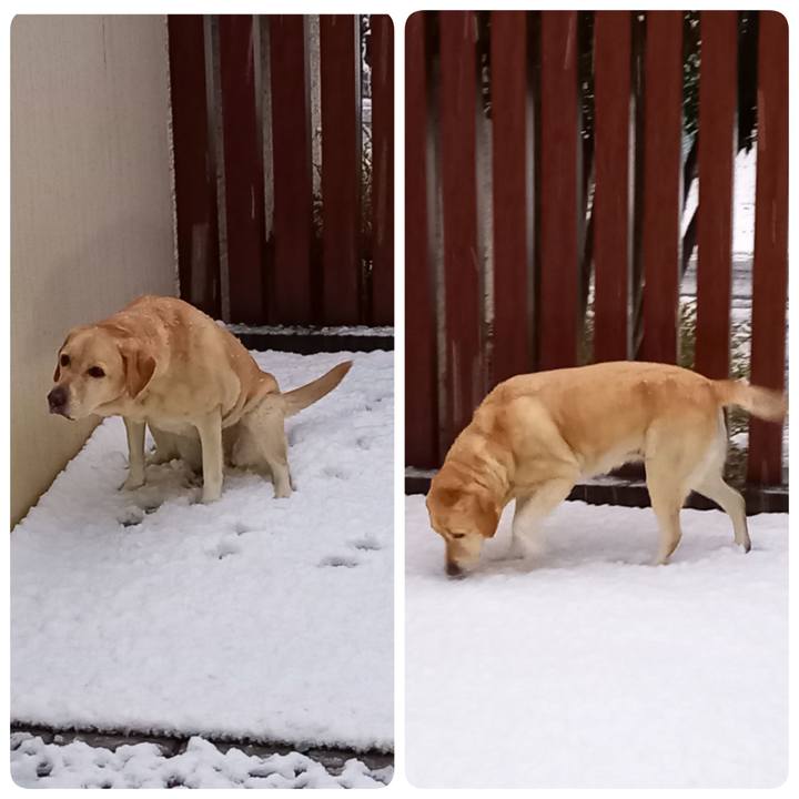 7db8719b 8e62 44b3 b73f 99fcde4be026 1608082935984