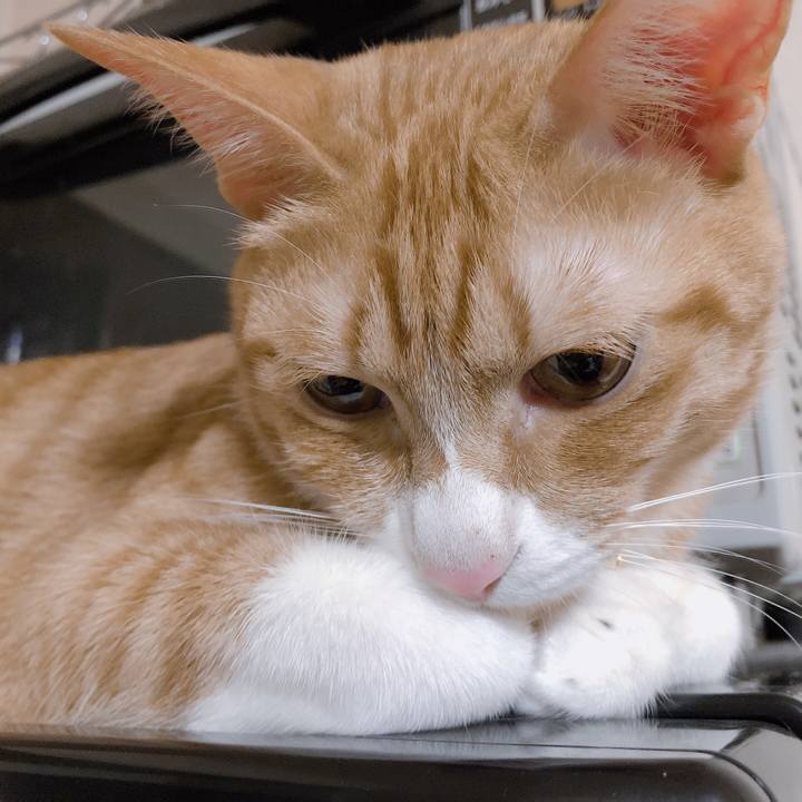 7db8738e 62e9 44d0 a641 f9f02fef0f7a 1570365213167