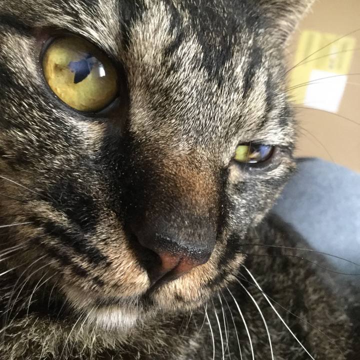 7db888fe f6c9 41b8 bd9f 135025abe9aa 1597131775559