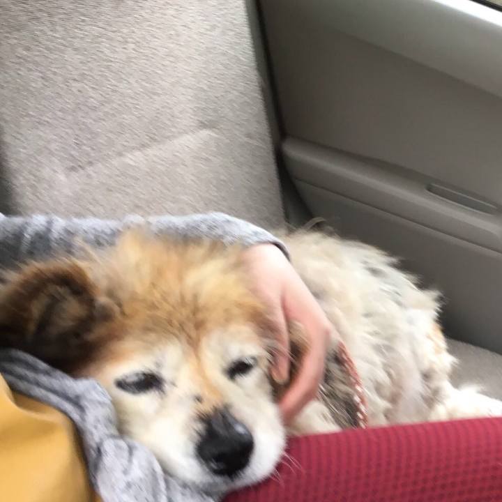 7db8bc61 b6cd 468c a4a5 c44afa7781f8 1550705101352