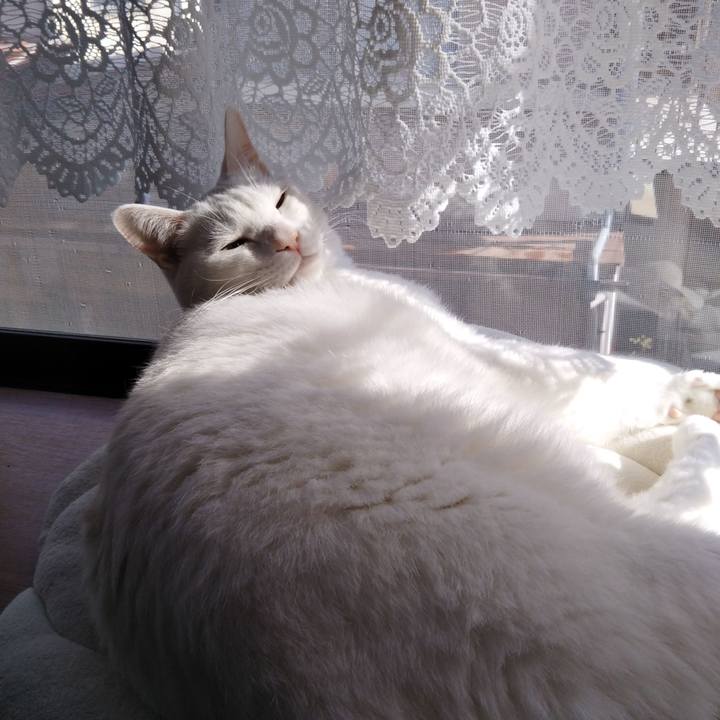 7db8bd8e f194 4dc6 91e8 834a0ccb1761 1575253141937