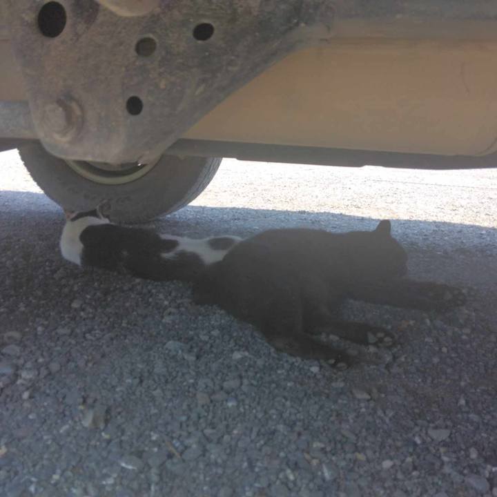 7db922f9 5543 4072 90b8 91b2481c30a6 1720149452904