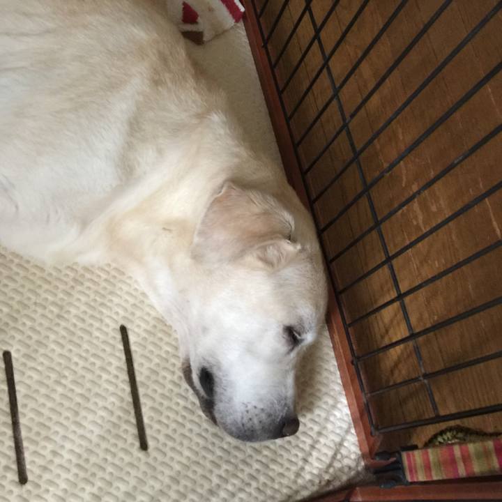 7db934b1 d136 49eb b26c d09b63138afe 1530067685060